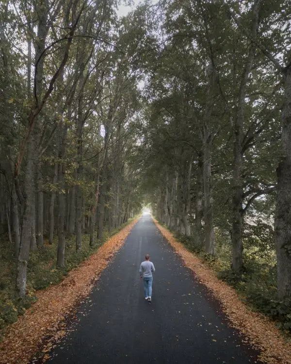 Person Walking on a Road Surrounded by Trees