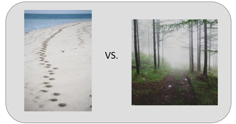 Is it harder to use walking poles on beach sand or hiking trails?