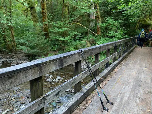 Learn About Volkswalking - Search for Thousands of Noncompetitive Walking Events Near You