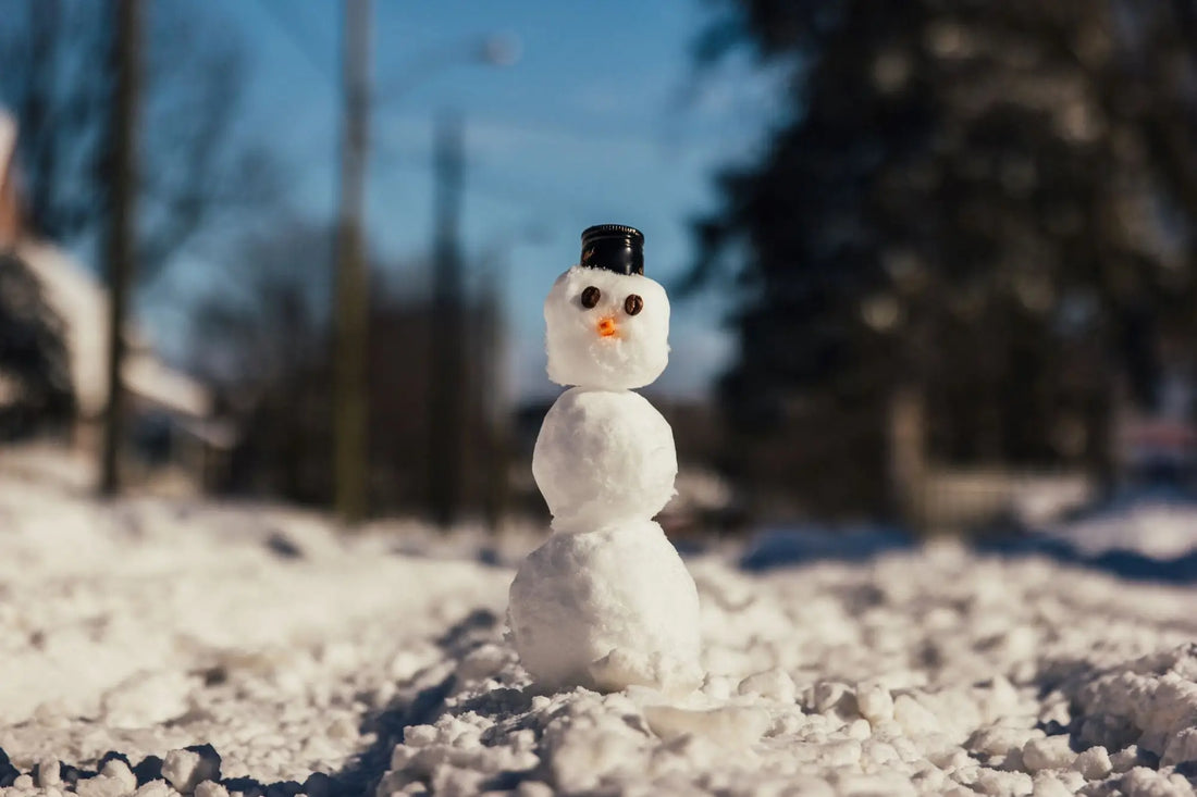 Snowman on a sunny day