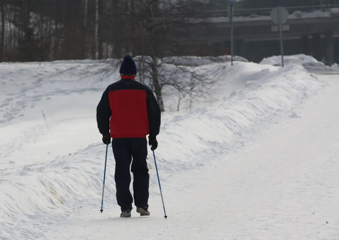 Pole Walking in Snow