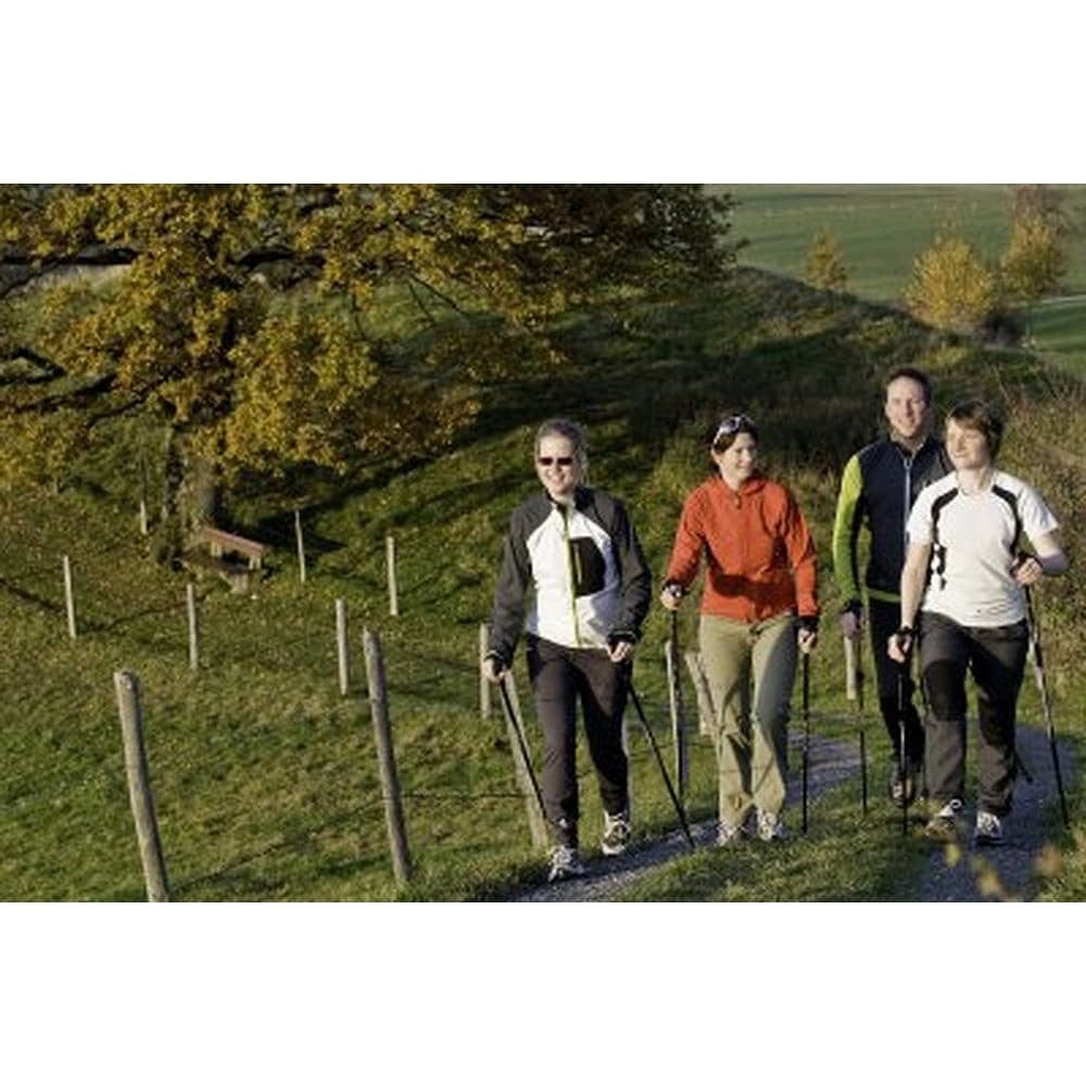 Blue Breeze Hiking & Walking Poles w-flip locks detachable feet and travel bag - pair - For Heights
