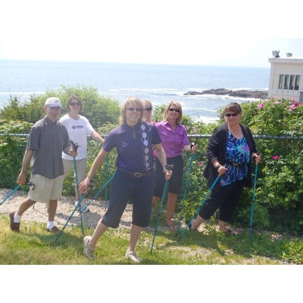 Blue Breeze Hiking & Walking Poles w-flip locks detachable feet and travel bag - pair - For Heights