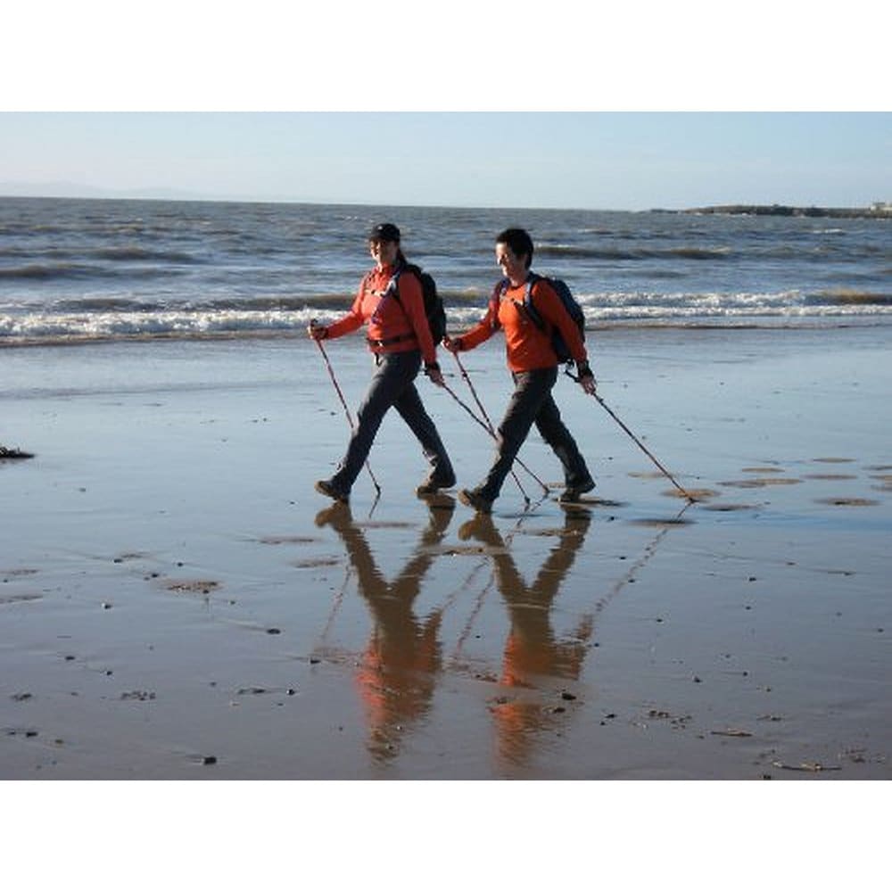 Purple Haze Walking Poles - Pair w-flip locks detachable feet and travel bag - For Heights up