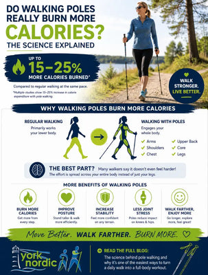 Do Walking Poles Really Burn More Calories? The Science Explained