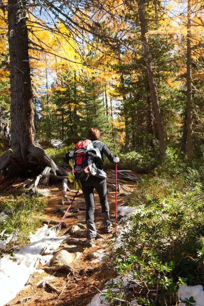 Exploring Nordic Walking