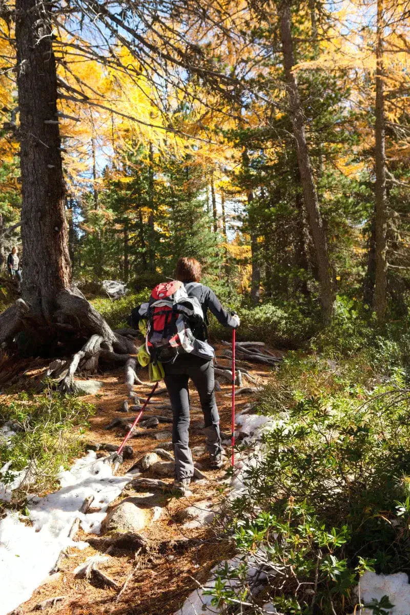 Exploring Nordic Walking