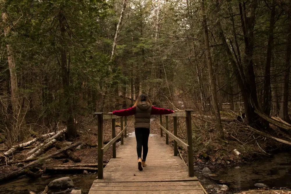 Person walking across a wooden bridge in a forest