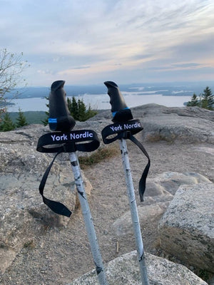 Top 5 Ways Walking Poles May Help Those with Parkinson's