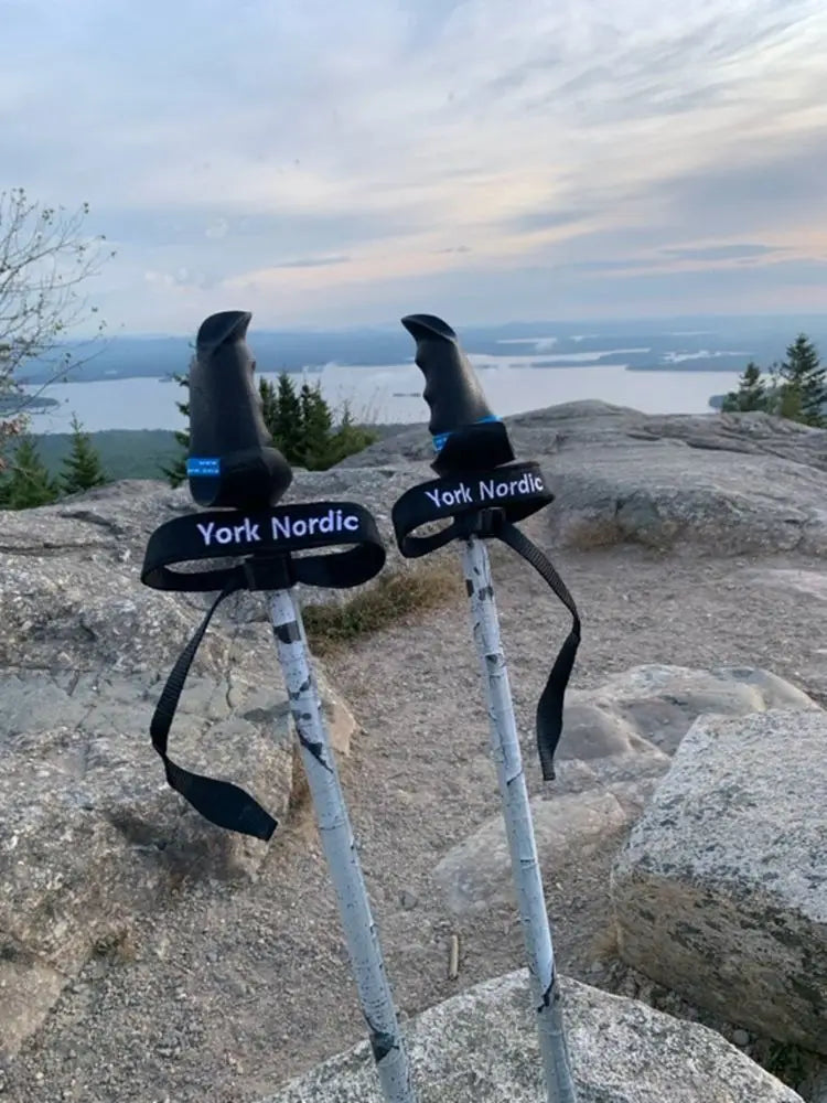 Walking poles with York Nordic branding against a backdrop of a mountain overlooking a lake