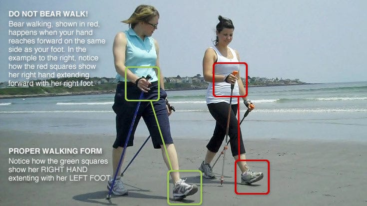 Perfect your Nordic Walking Technique