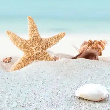 Tan starfish.