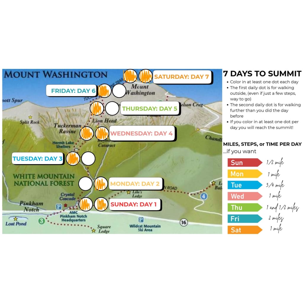 4 SUMMITS in WEEKS: York Nordic Virtual Walking Challenge & Motivation Study for Research - Train